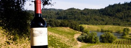 Location Villa Luberon