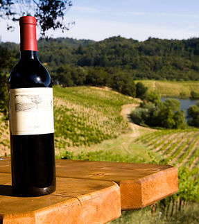 Wine Bottle Outdoors