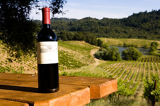 vinicole