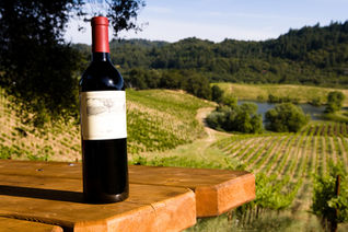 Está comprobado que el vino beneficia la salud