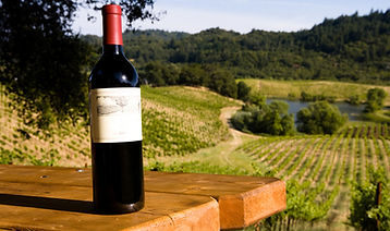 Winery