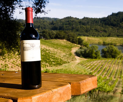 Botella de vino al aire libre