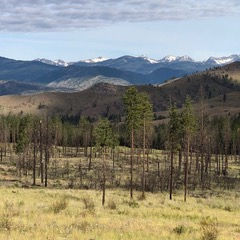 Post Fire Restoration Workshop 4/24/25