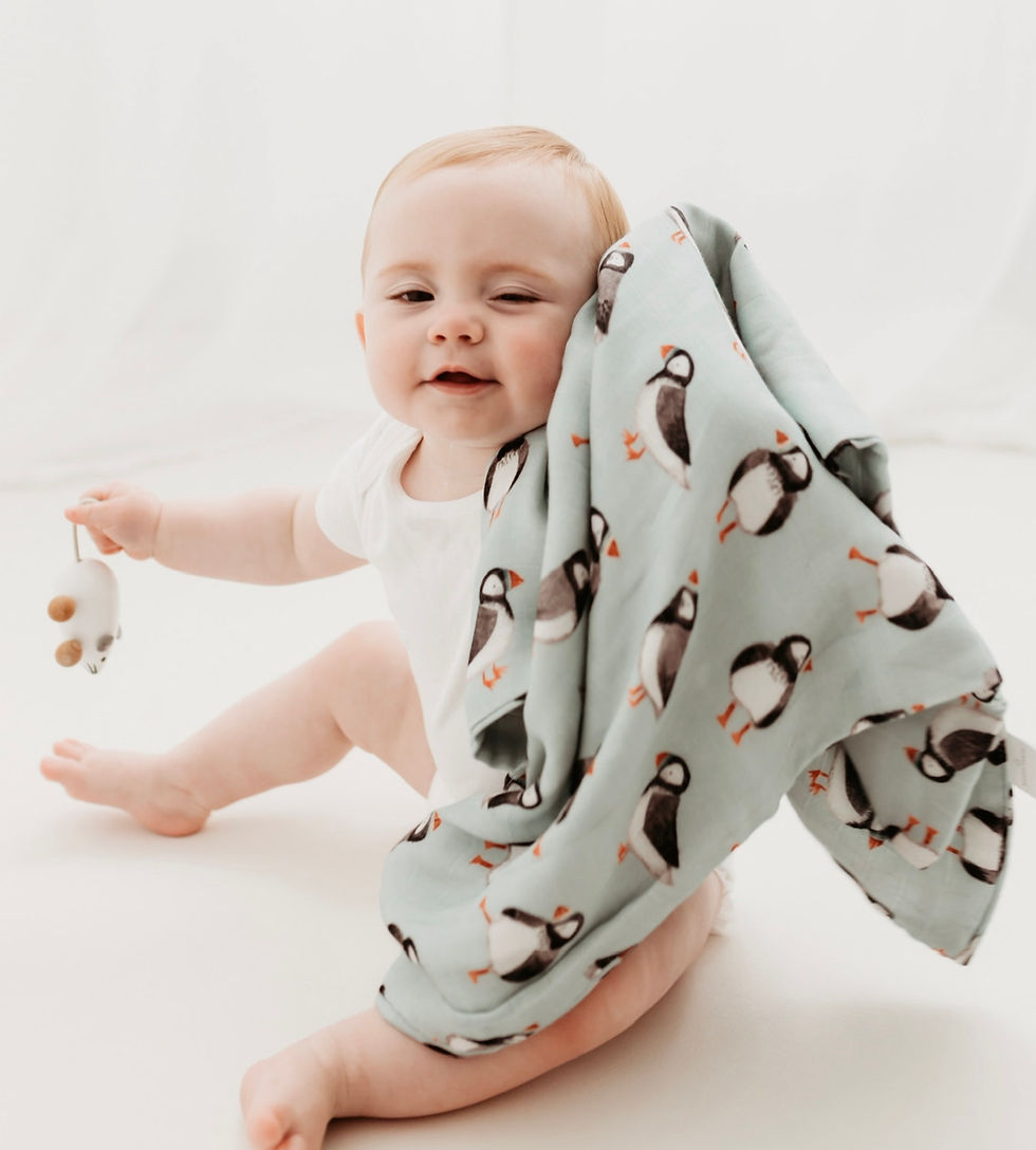 Thumbnail: Christmas Gift Set - Puffin