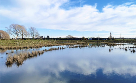 Curletts Basin_edited.jpg