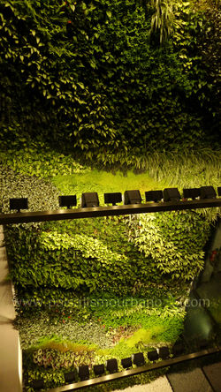 jardines verticales paisajismo urbano (4)