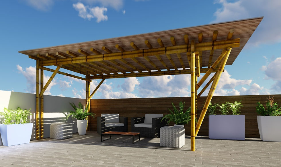 Terraza2
