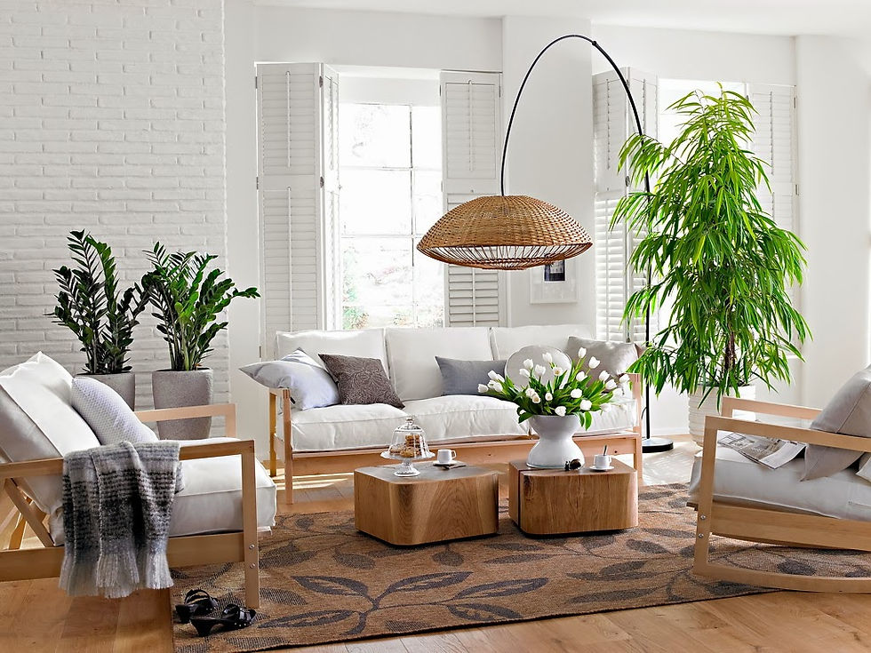 Plantas
