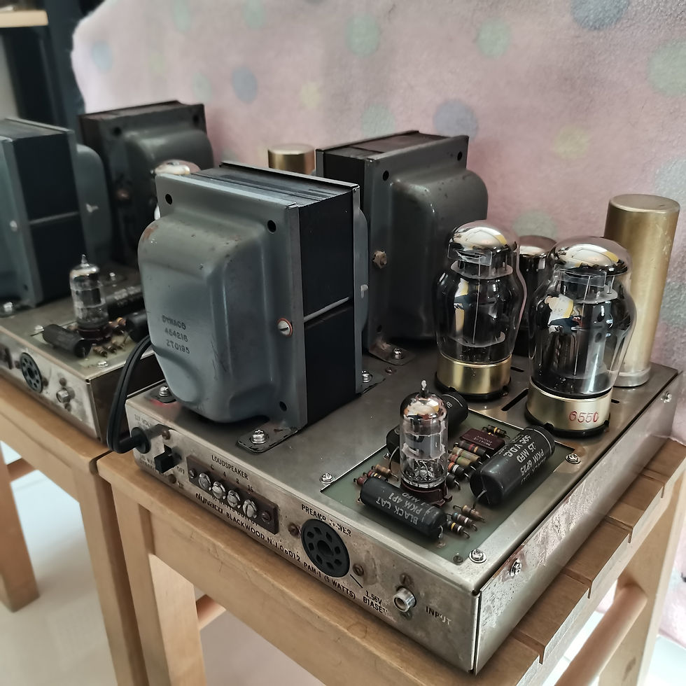 Thumbnail: Dynaco Mark III Mono tube amplifier pair 6550 pp 60Wx2