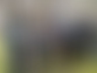 Airsoft, A Game Where You Get Shot For Fun