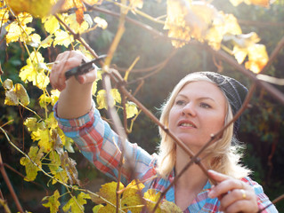 Fall Landscaping Checklist