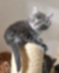 Linus5,5Wo4.jpg Linus5,5Wo2