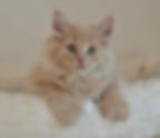 River Song 06.11.2023