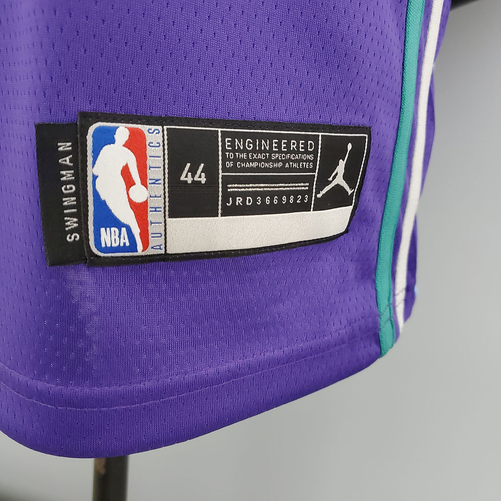 Miniatura: HORNETS - ROXO