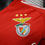 Miniatura: BENFICA HOME 24/25 - VERSÃO JOGADOR