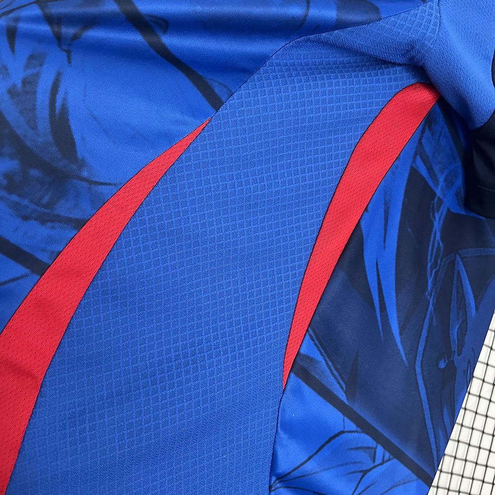 Miniatura: JAPÃO ESPECIAL AZUL GOKU