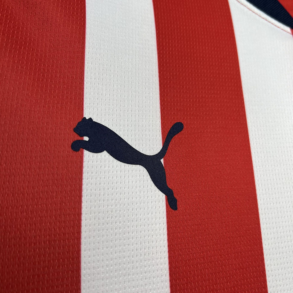 Miniatura: CHIVAS HOME 24-25