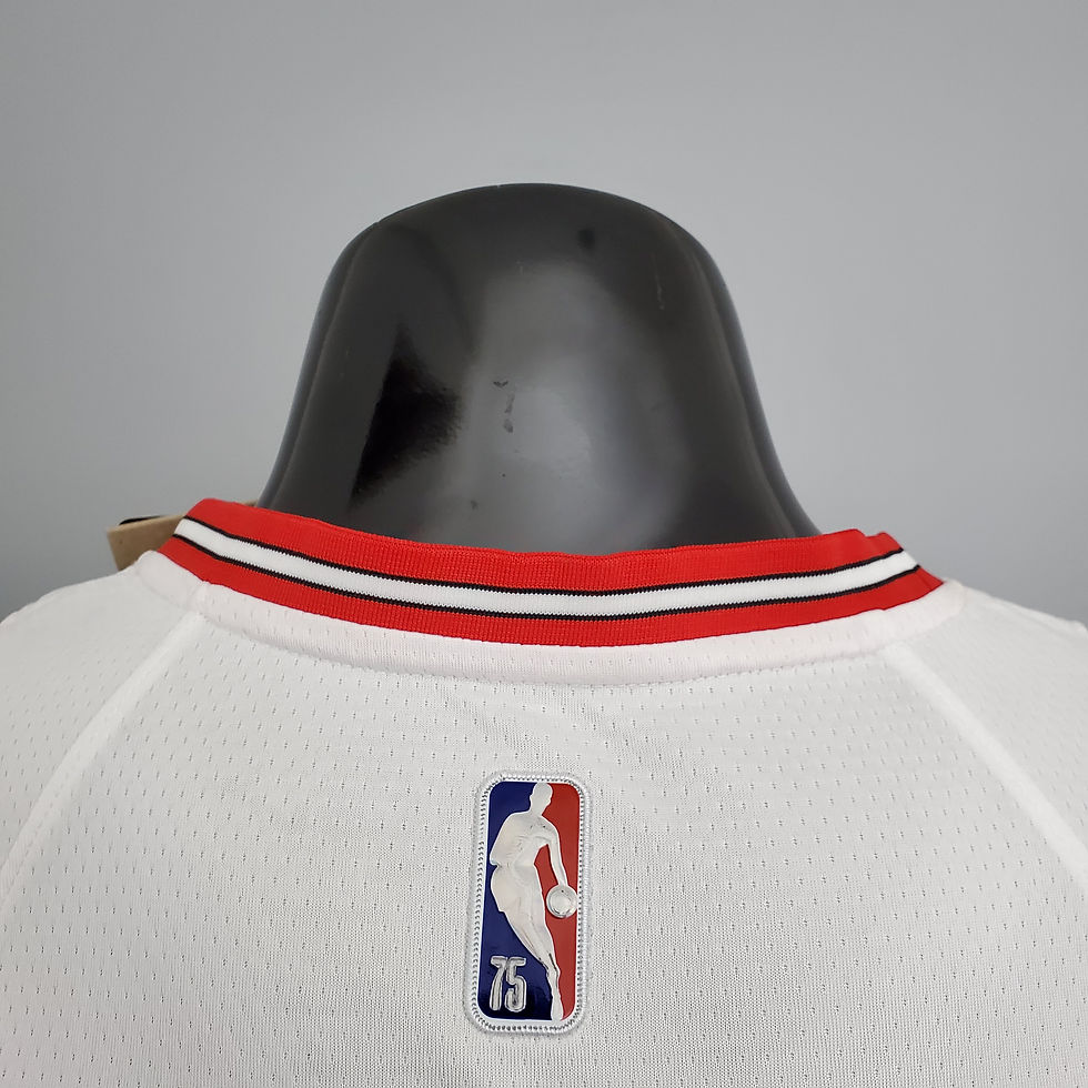Miniatura: CHICAGO BULLS - BRANCO 2022