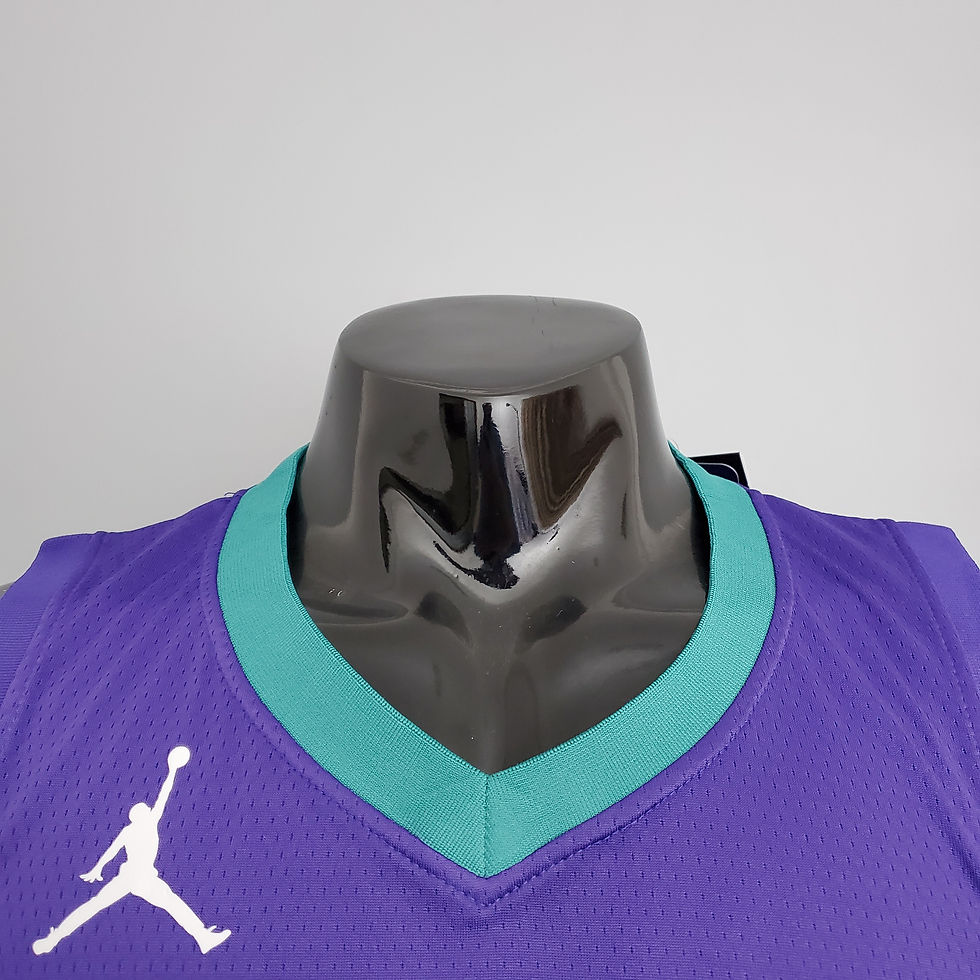 Miniatura: HORNETS - ROXO
