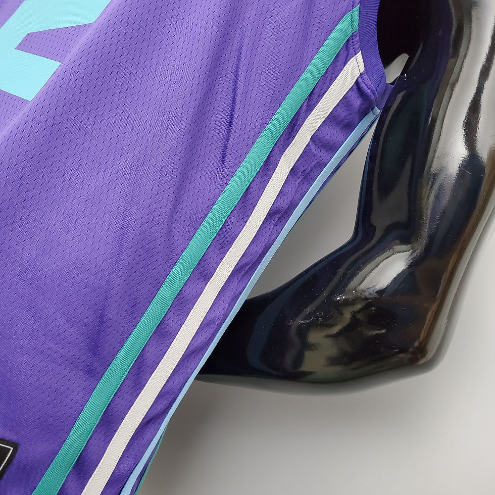 Miniatura: HORNETS - ROXO