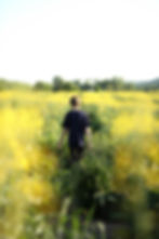 Pathways to Manhood