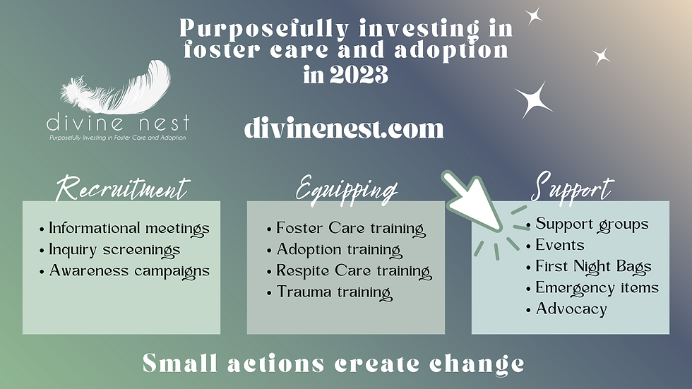 Divine Nest programs