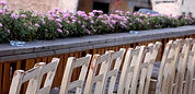 Ceremony Chairs
