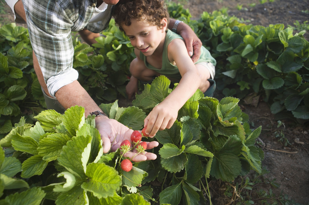 five reasons why urban farming is the most important