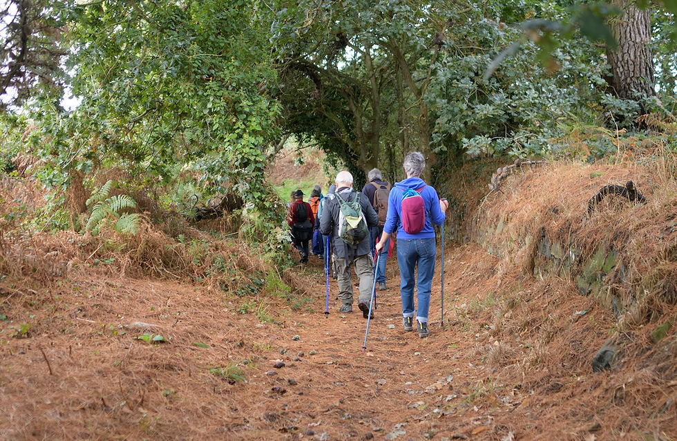 Randonneurs circuit de Pellinec - 28-09-2025--3382 (Copier)