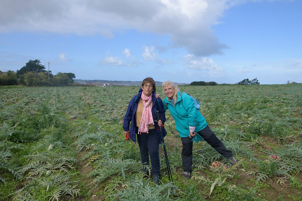Randonneurs Port-Béni - 05-10-2025--4534 (Copier)