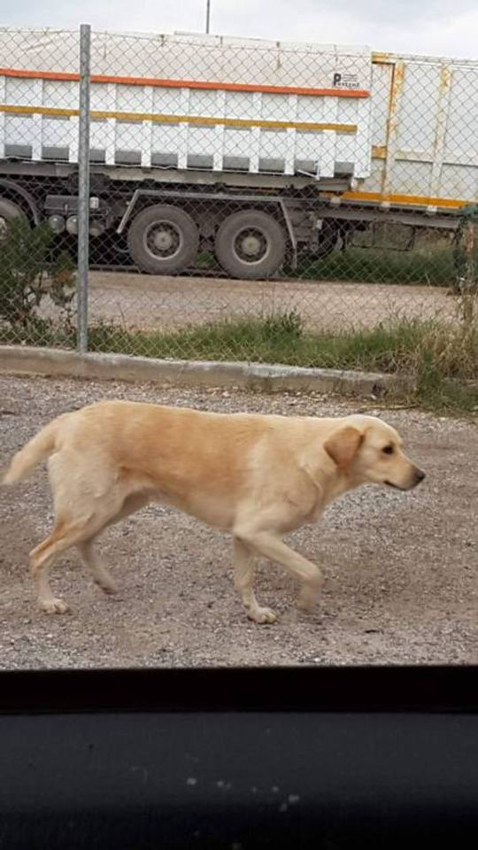 48194131_1467668420030102_1919103374830075904_n