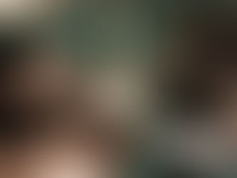 Λιβαδειά: Στο εδώλιο άνδρας που κατηγορείται ότι εκτέλεσε με δίκανο τα σκυλιά του γείτονά του