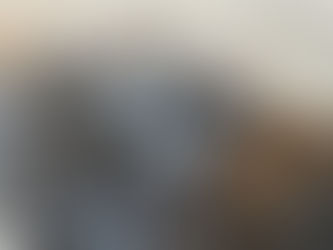 21 ζώα νεκρά από φόλα στον Πύργο Ηλείας