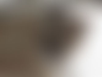 Έφυγε το 2018 και μας άφησε μερικά είδη ζώων λιγότερα