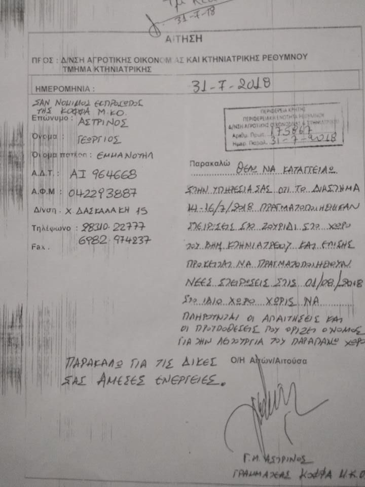 47688751_199528000990615_3142759464633892864_n