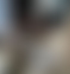 Εντοπίστηκε φορτηγό αυτοκίνητο που μετέφερε λαθραία 48 αδέσποτα σκυλιά και γάτες έξω από τον βόλο |