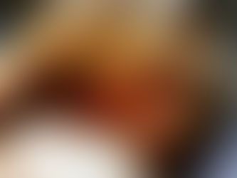 5.000 ευρώ πρόστιμο και ένα χρόνο φυλακή με αναστολή στον δράστη που σούβλισε με σίδερο σκύλο στο Άρ