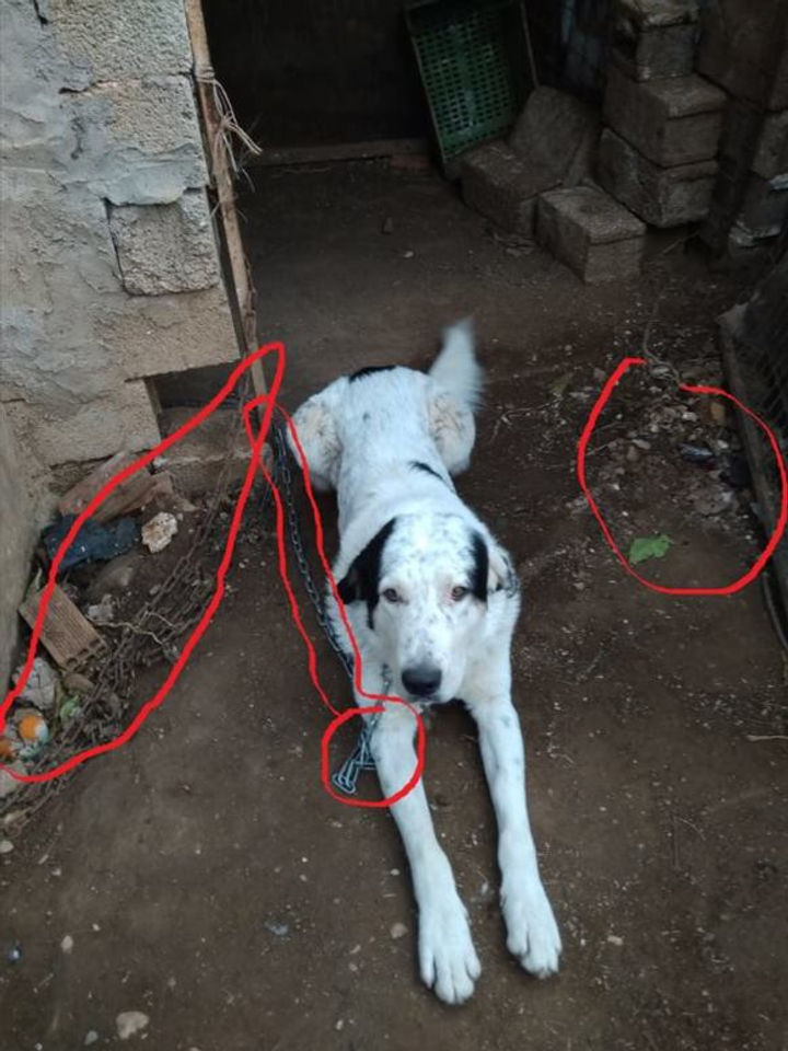 48266561_1467668843363393_2540965839872458752_n