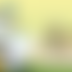 Καπιταλισμός – Η φούσκα που μας κυβερνάει