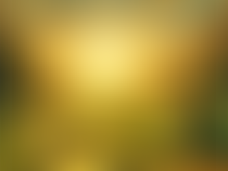 A I-Ching üzenete 2024 -es évvel kapcsolatban. Hogyan érdemes viszonyulni az előttünk álló év kihívásaihoz ?                                          19. Hexagram – Lin / A Közeledés