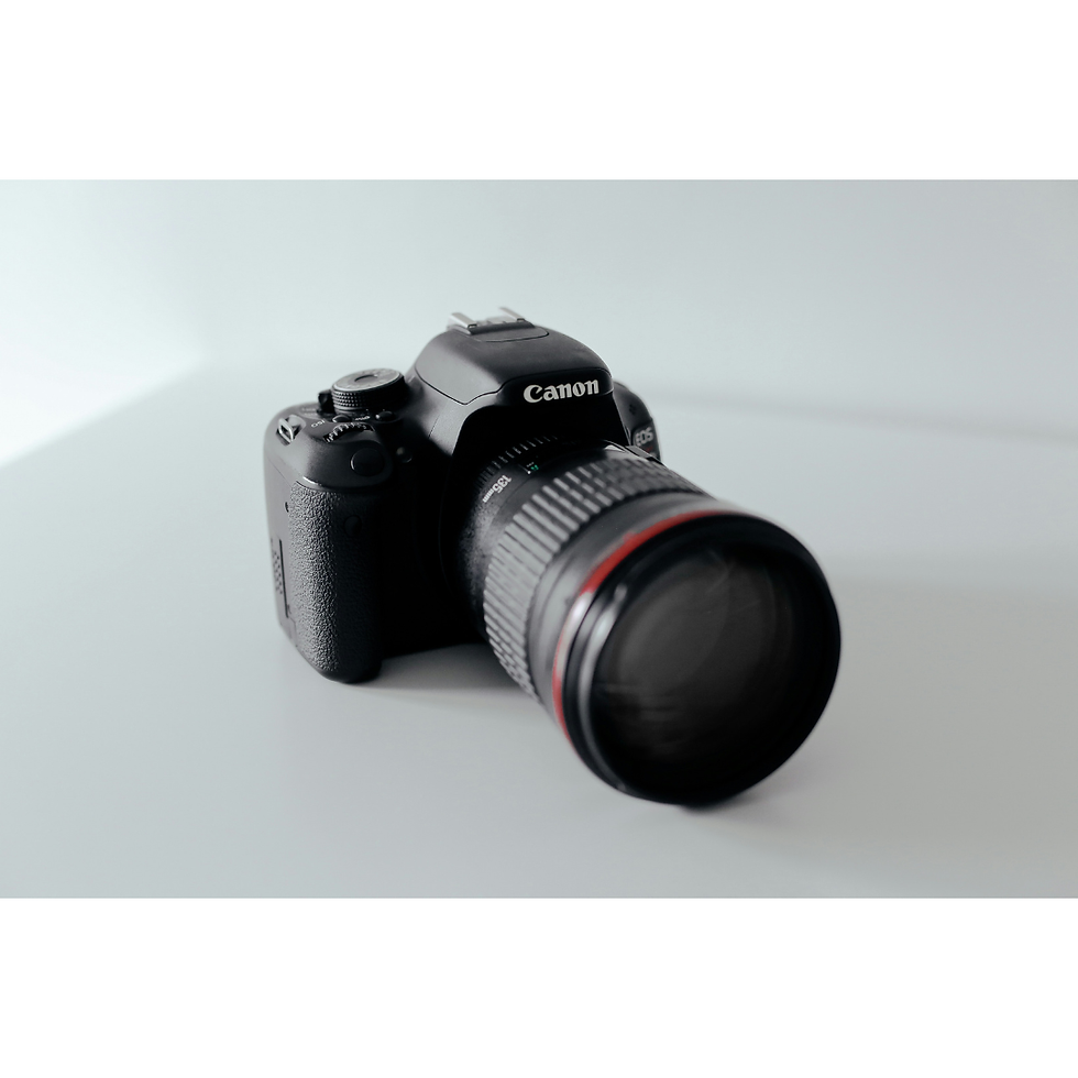 Untitled design (15).png