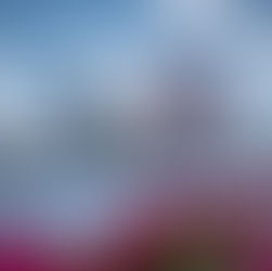 Best Digital Advertising Agencies in West Palm Beach (October 2025 Edition)