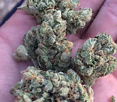 Og kush for sale