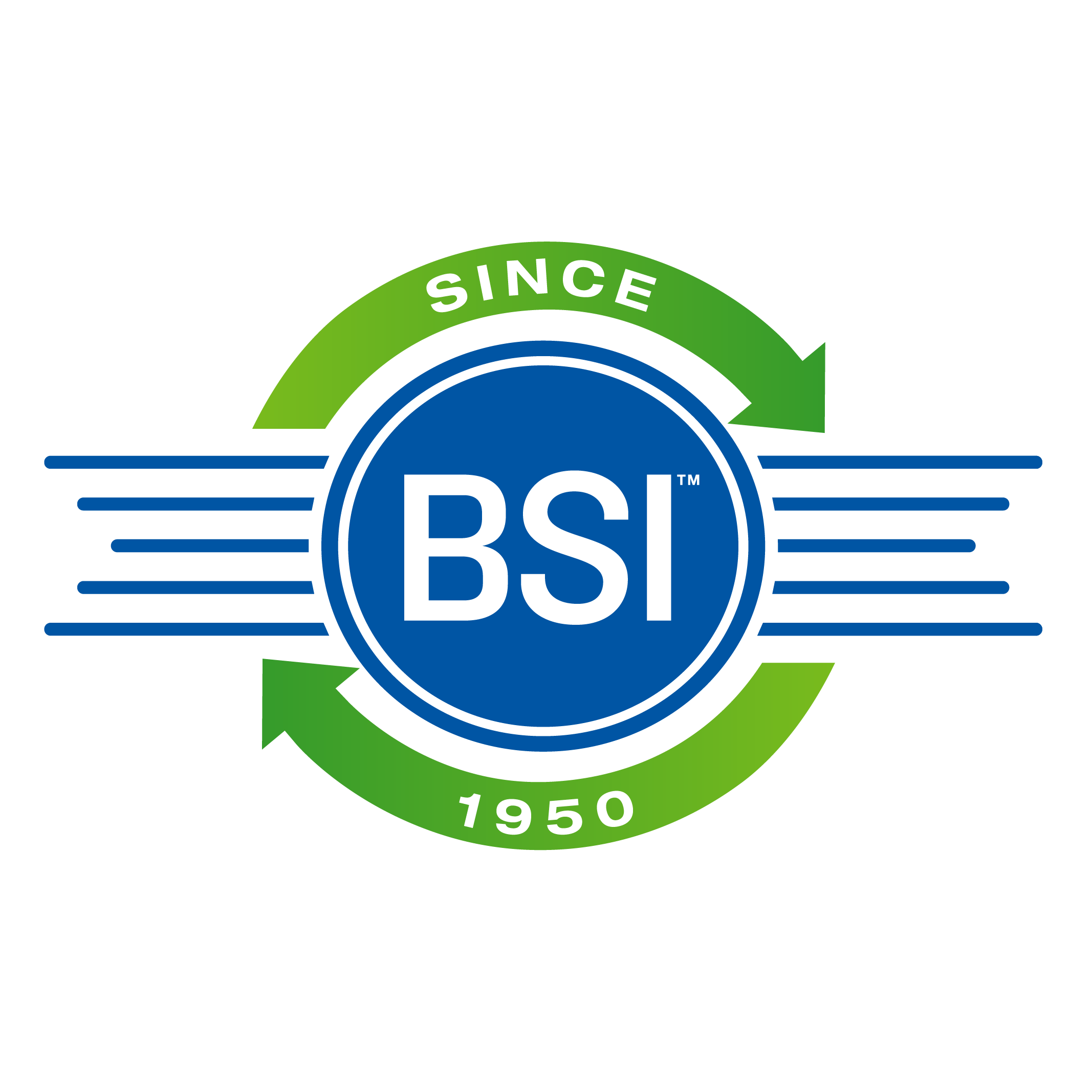 bsi logo.png