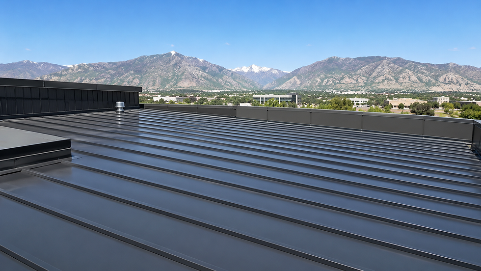 Shiny metal rooftop in foreground with mountain range and blue sky beyond, calm daytime cityscape in the distance.