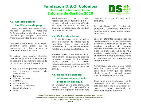 01 Informe de Gestión  Fundación DSO Col