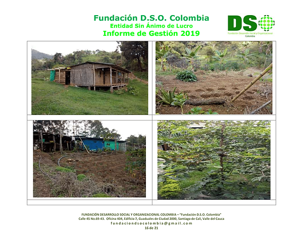 01_Informe_de_GestiÃ³n__FundaciÃ³n_DSO_C