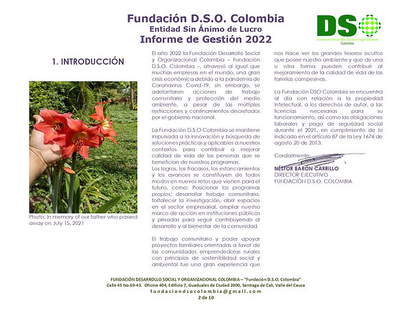 02 Informe Gestión DSO 2022.jpg
