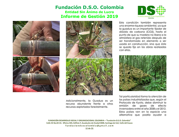 01_Informe_de_GestiÃ³n__FundaciÃ³n_DSO_C