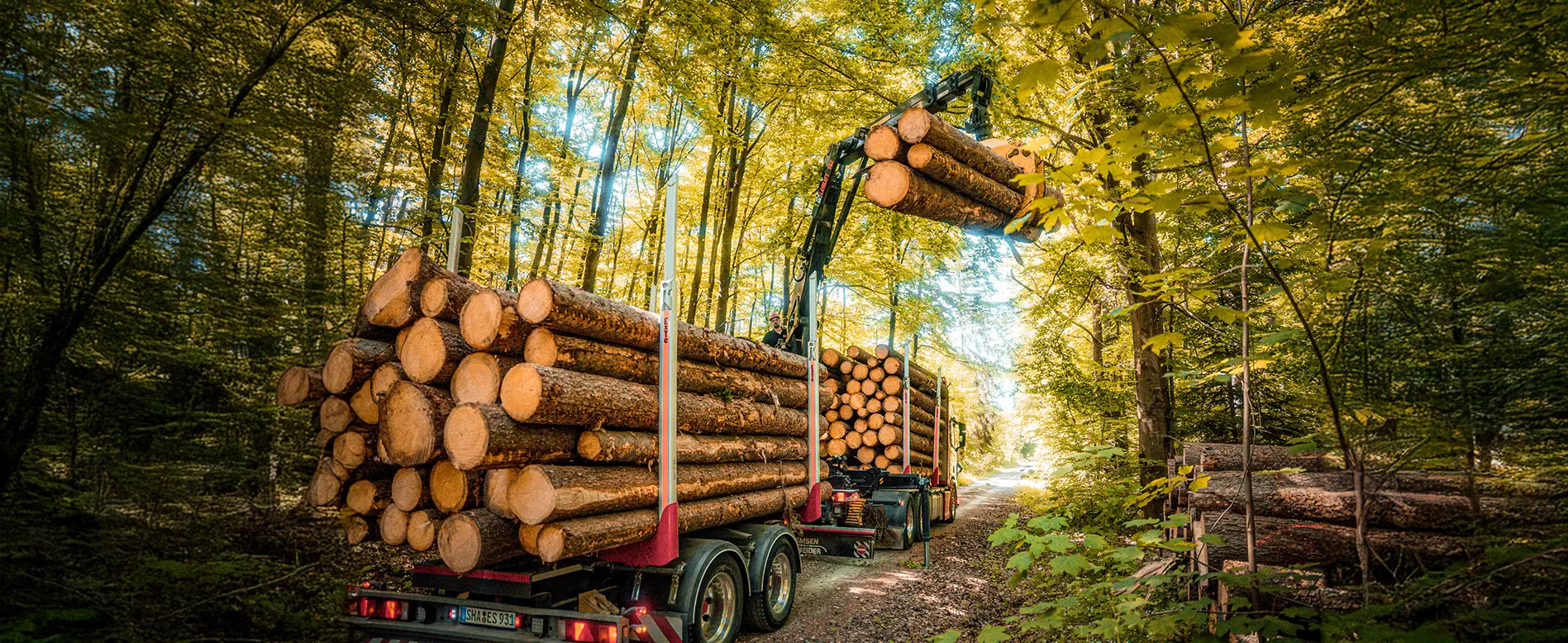 Volvo Abrollkipper.webp